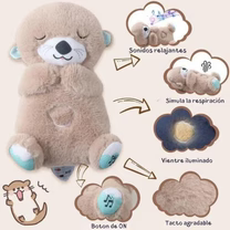 Nutria Sleep😴💤